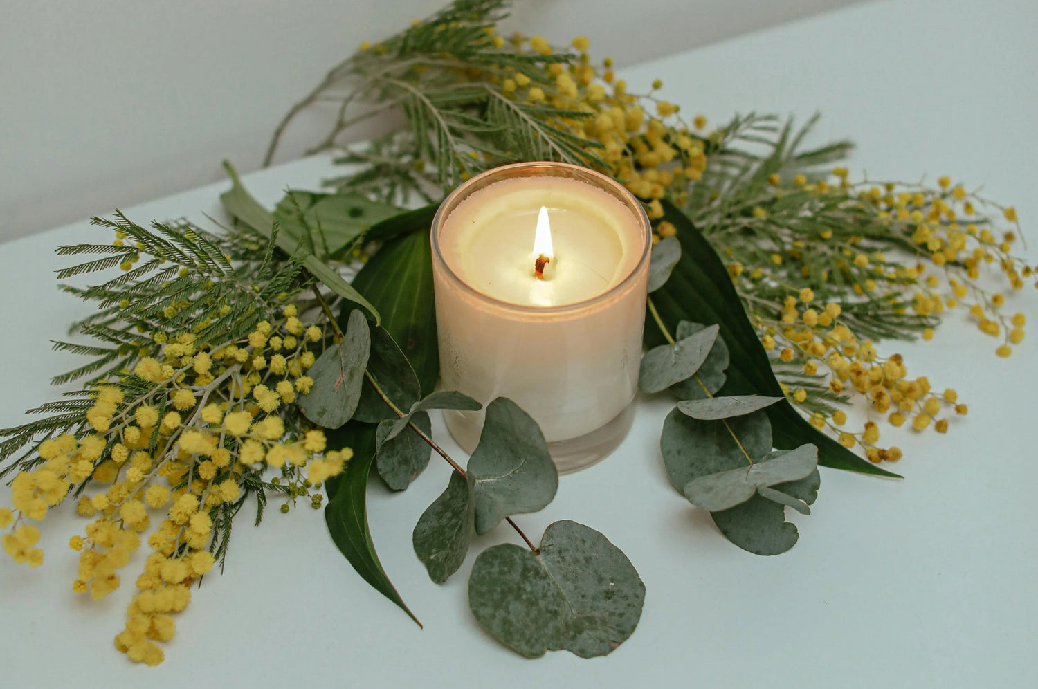 Soya Mum | Meryc Studio - Sıcak Atölye 