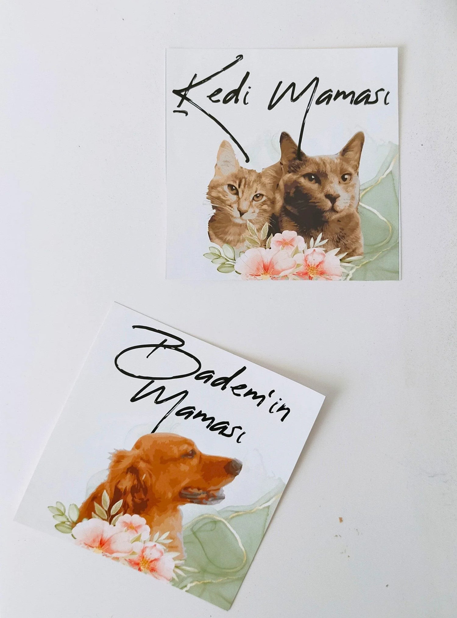 Hayvan Dostlarımız - Sıcak Atölye 