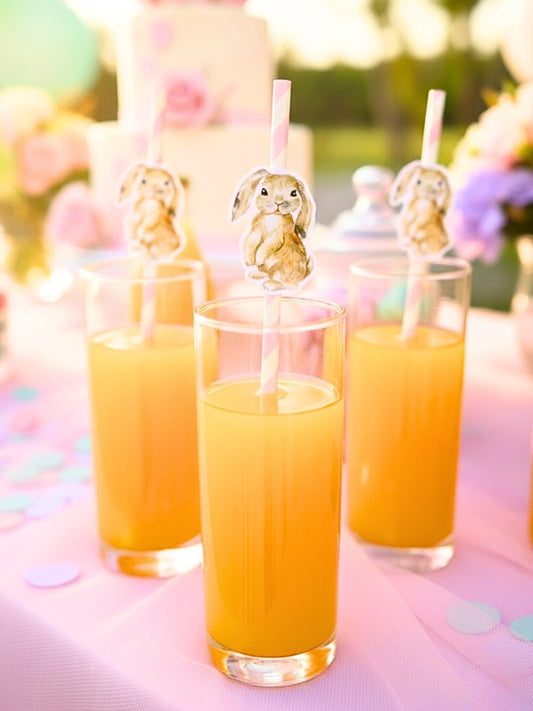 Doğum Günü Parti Seti - 124 Parça Sofra Düzeni | Peri Teması